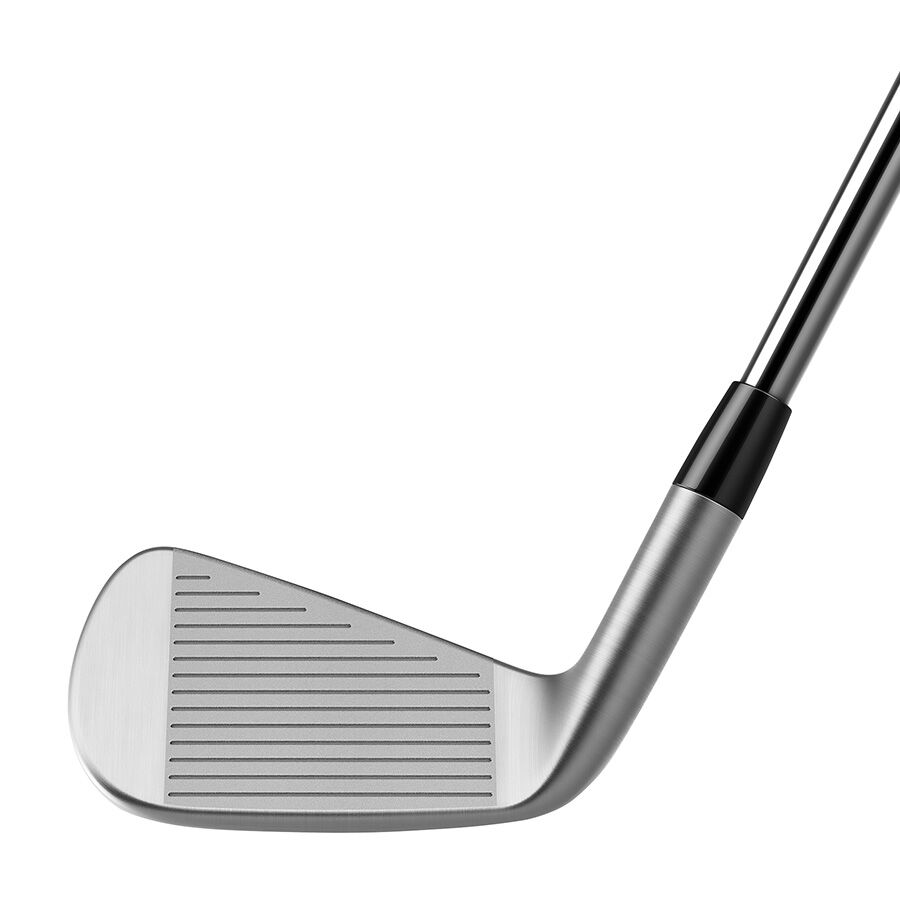 TaylorMade P790 Golf Irons