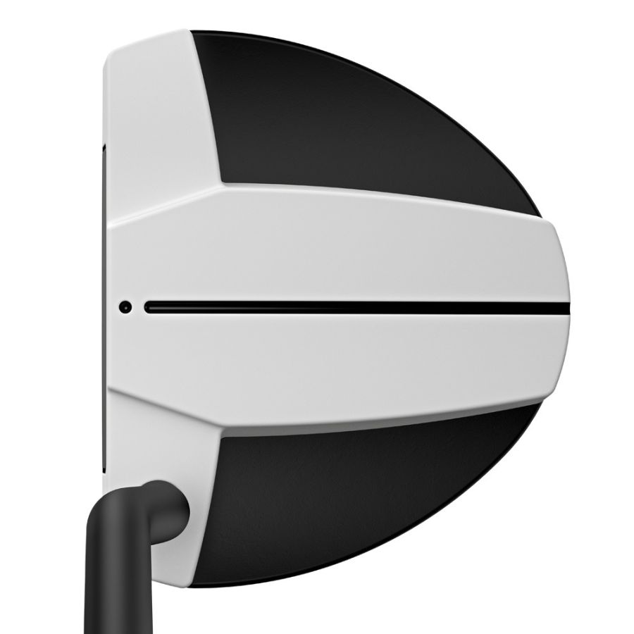 Ping Scottsdale TEC Hayden Putter