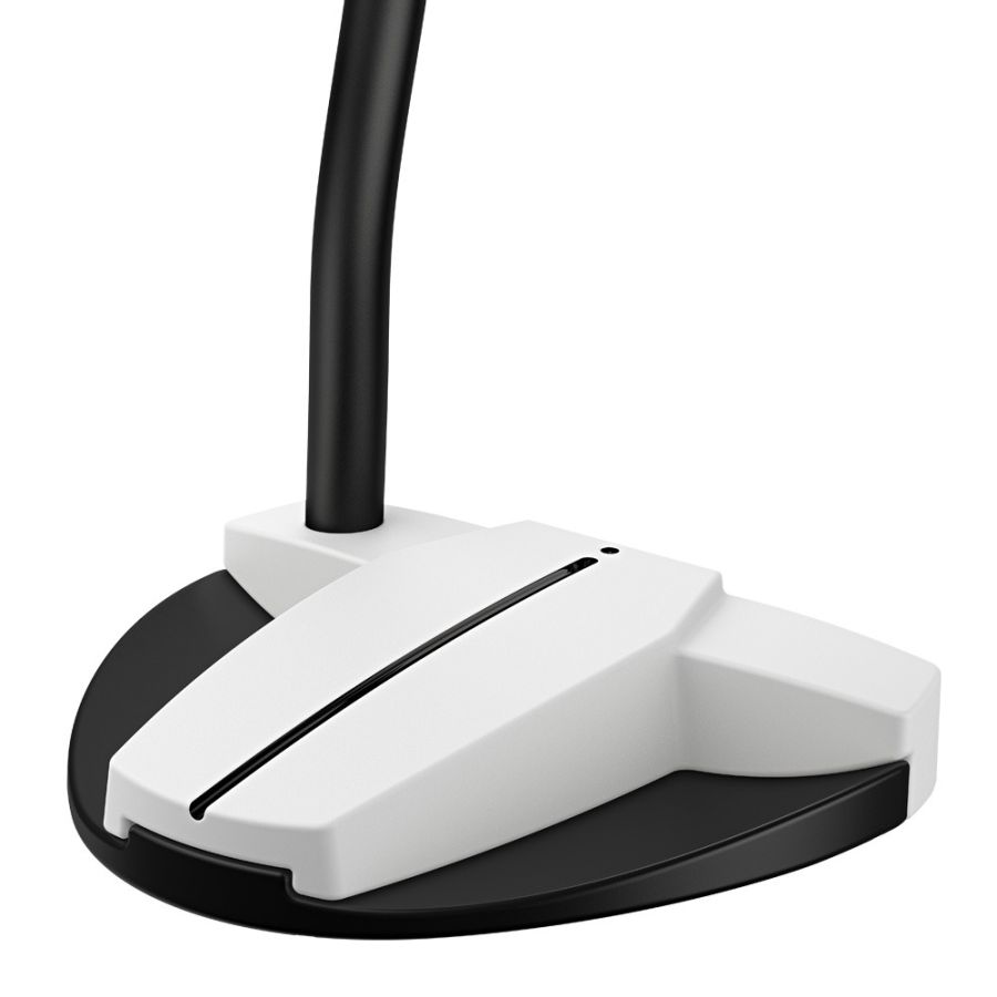 Ping Scottsdale TEC Hayden Putter