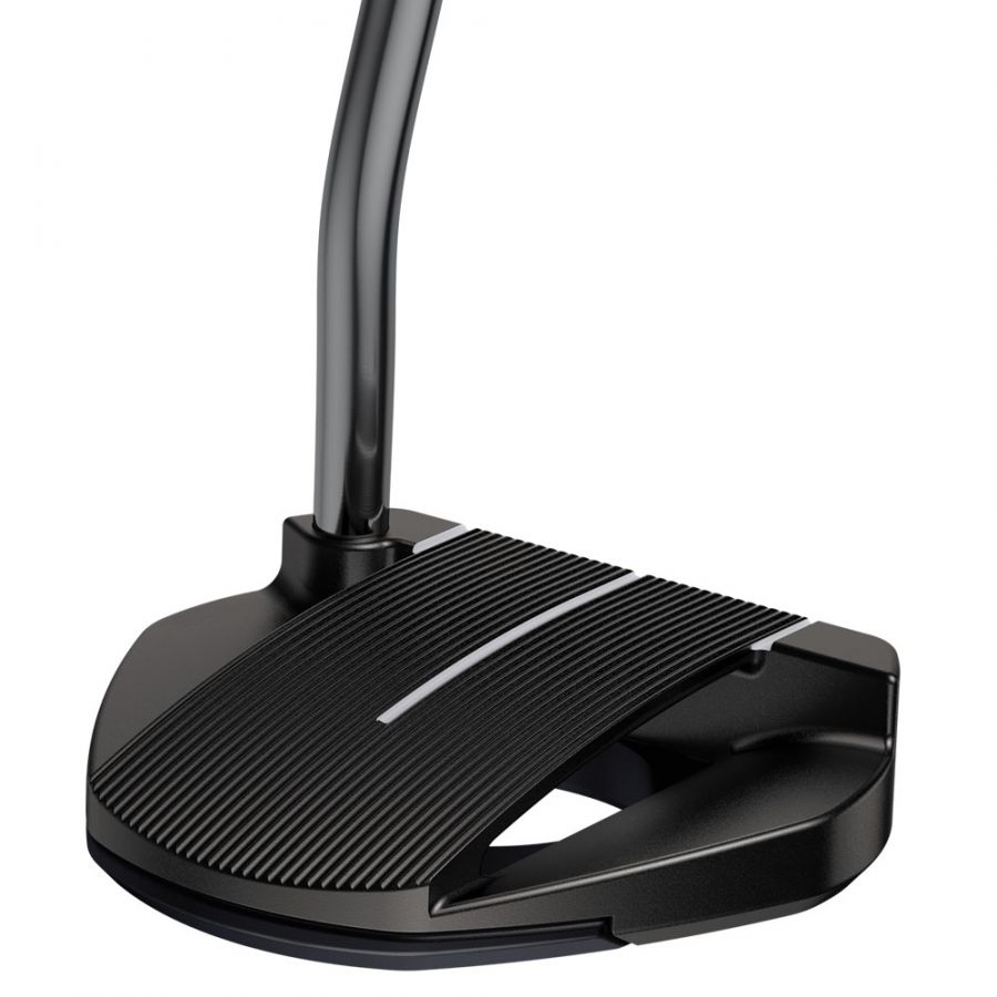 Ping 2021 Fetch Putter